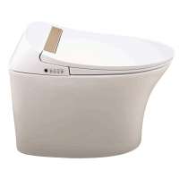 Luxury striped clean vagina washing bidet toilet